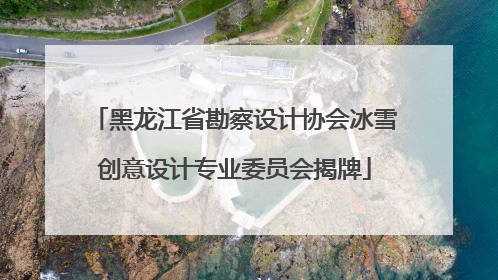 黑龙江省勘察设计协会冰雪创意设计专业委员会揭牌