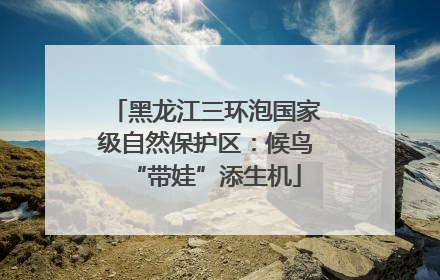 黑龙江三环泡国家级自然保护区：候鸟“带娃”添生机