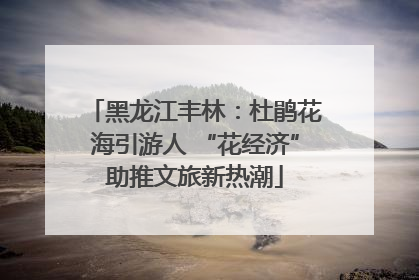 黑龙江丰林：杜鹃花海引游人 “花经济”助推文旅新热潮