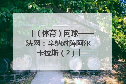 （体育）网球——法网：辛纳对阵阿尔卡拉斯（2）