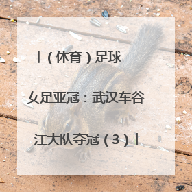 （体育）足球——女足亚冠：武汉车谷江大队夺冠（3）