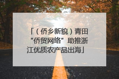 （侨乡新貌）青田“侨贸网络”助推浙江优质农产品出海