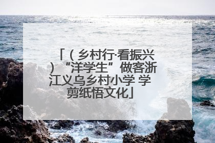 （乡村行·看振兴）“洋学生”做客浙江义乌乡村小学 学剪纸悟文化