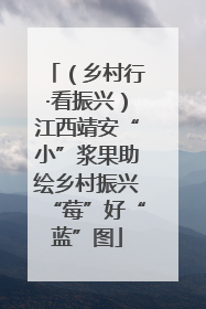 （乡村行·看振兴）江西靖安“小”浆果助绘乡村振兴“莓”好“蓝”图