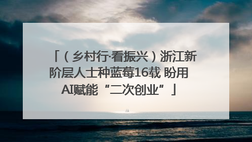 （乡村行·看振兴）浙江新阶层人士种蓝莓16载 盼用AI赋能“二次创业”