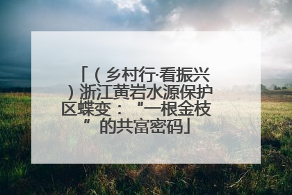 （乡村行·看振兴）浙江黄岩水源保护区蝶变：“一根金枝”的共富密码