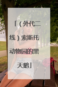 （外代二线）索斯托动物园的黑天鹅