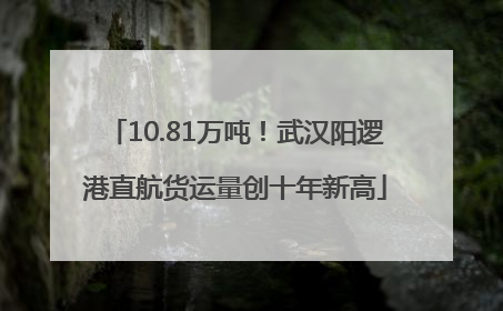 10.81万吨！武汉阳逻港直航货运量创十年新高