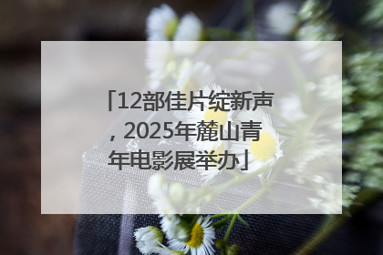 12部佳片绽新声，2025年麓山青年电影展举办
