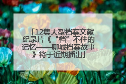 12集大型档案文献纪录片《“档”不住的记忆——聊城档案故事》将于近期播出