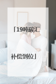 19吨碳汇补偿到位
