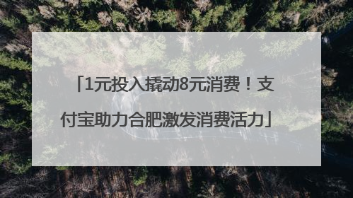 1元投入撬动8元消费！支付宝助力合肥激发消费活力
