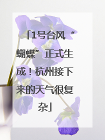 1号台风“蝴蝶”正式生成！杭州接下来的天气很复杂