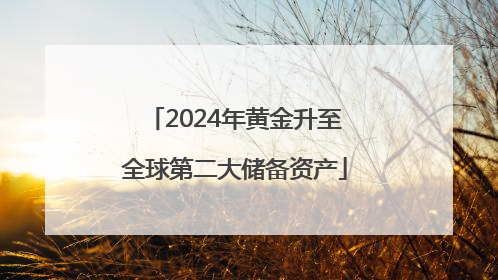 2024年黄金升至全球第二大储备资产