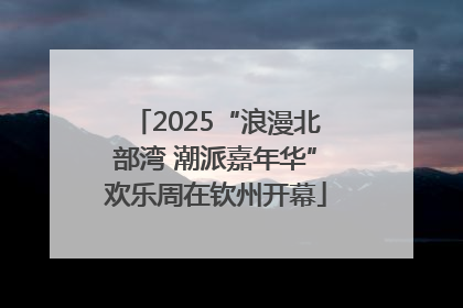 2025“浪漫北部湾 潮派嘉年华”欢乐周在钦州开幕