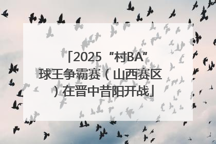 2025“村BA”球王争霸赛（山西赛区）在晋中昔阳开战