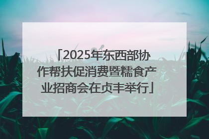 2025年东西部协作帮扶促消费暨糯食产业招商会在贞丰举行