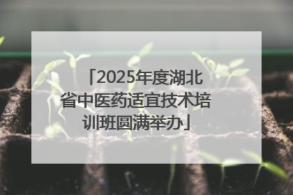 2025年度湖北省中医药适宜技术培训班圆满举办