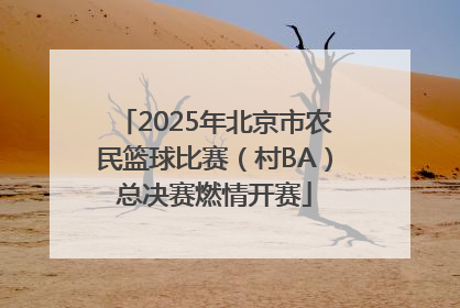 2025年北京市农民篮球比赛（村BA）总决赛燃情开赛