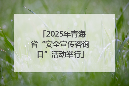 2025年青海省“安全宣传咨询日”活动举行