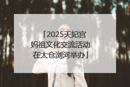 2025天妃宫妈祖文化交流活动在太仓浏河举办