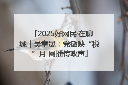 2025好网民·在聊城｜吴聿晟：党徽映“税”月 网播传政声