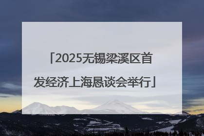 2025无锡梁溪区首发经济上海恳谈会举行