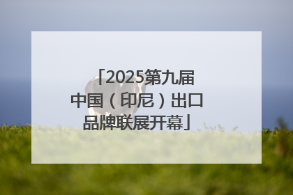 2025第九届中国（印尼）出口品牌联展开幕