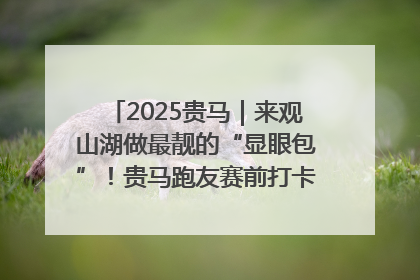 2025贵马｜来观山湖做最靓的“显眼包”！贵马跑友赛前打卡点燃奔跑热情
