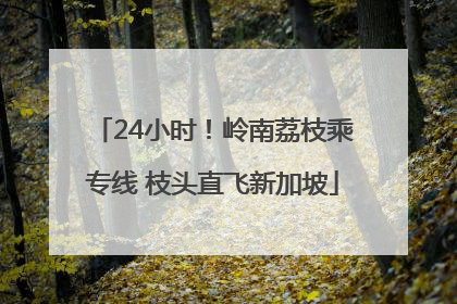 24小时！岭南荔枝乘专线 枝头直飞新加坡