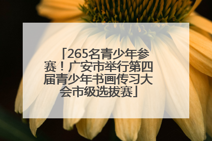 265名青少年参赛！广安市举行第四届青少年书画传习大会市级选拔赛