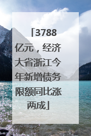 3788亿元，经济大省浙江今年新增债务限额同比涨两成