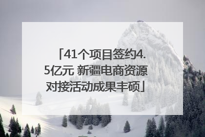 41个项目签约4.5亿元 新疆电商资源对接活动成果丰硕