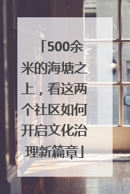 500余米的海塘之上，看这两个社区如何开启文化治理新篇章