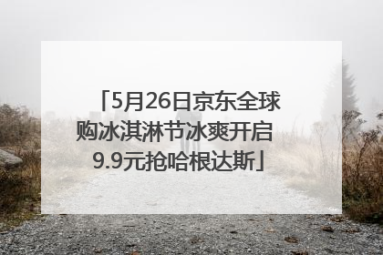 5月26日京东全球购冰淇淋节冰爽开启 9.9元抢哈根达斯