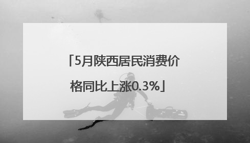 5月陕西居民消费价格同比上涨0.3%