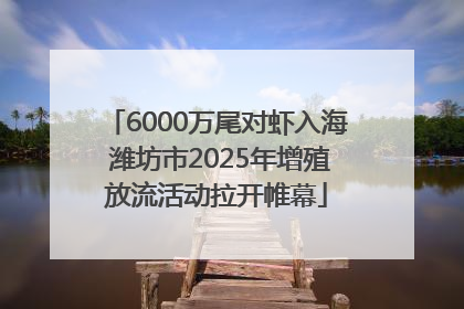 6000万尾对虾入海 潍坊市2025年增殖放流活动拉开帷幕
