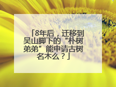 8年后，迁移到吴山脚下的“朴树弟弟”能申请古树名木么？