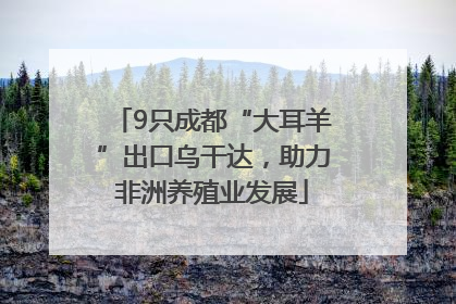 9只成都“大耳羊”出口乌干达，助力非洲养殖业发展