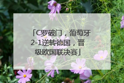 C罗破门，葡萄牙2-1逆转德国，晋级欧国联决赛