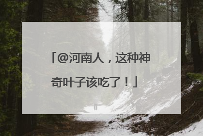 @河南人，这种神奇叶子该吃了！