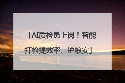 AI质检员上岗！智能扦检提效率、护粮安