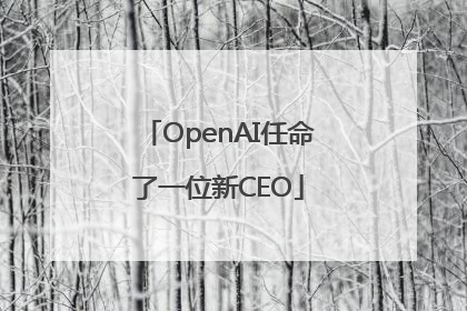 OpenAI任命了一位新CEO