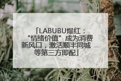 LABUBU爆红：“情绪价值”成为消费新风口，激活顺丰同城等第三方即配
