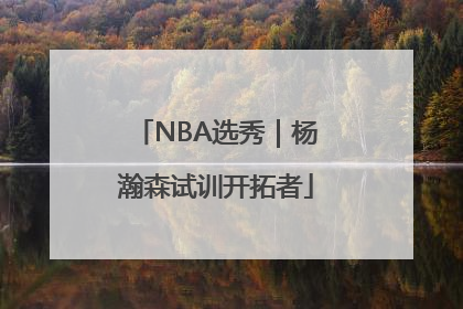 NBA选秀｜杨瀚森试训开拓者
