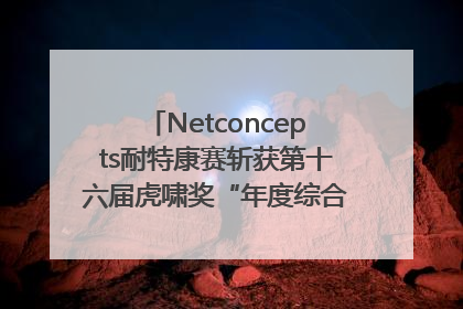 Netconcepts耐特康赛斩获第十六届虎啸奖“年度综合服务商”大奖